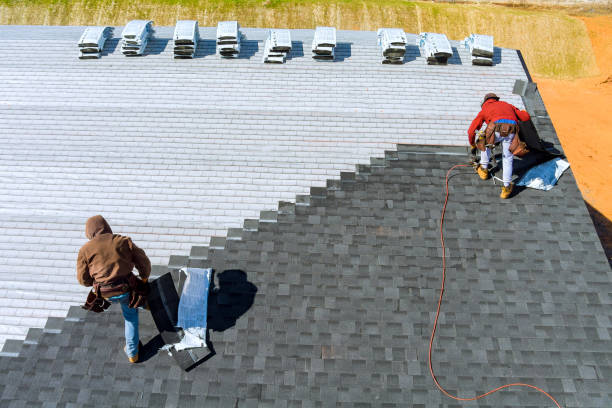 Best Roof Insulation Installation  in Webb City, MO