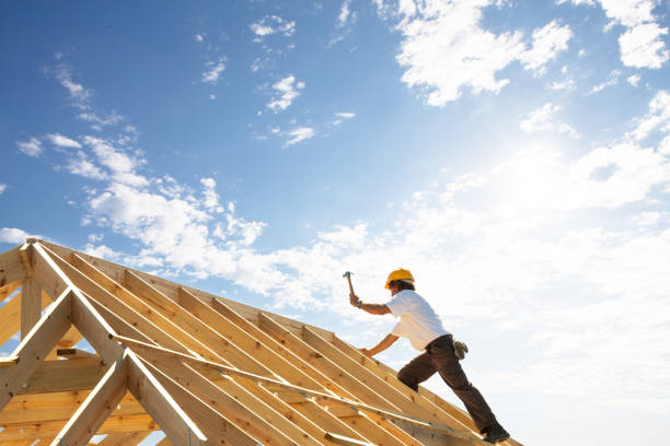 Best Asphalt Shingle Roofing  in Webb City, MO